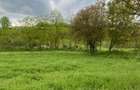 Vand Teren in Stejeris - 0753 019 211 - 3