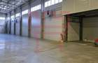 Inchiriere hala cu ISU zona Baciu  + platforma betonata 1.000mp