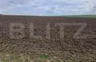 Teren de vanzare intravilan, 33 ari, Cumparatura - 1