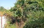 Casa de vanzare in centrul localitatii Valea Ramnicului teren 1.300 mp - 1