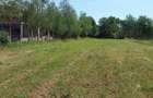 Teren Intravilan 12500 mp Drajna de Sus - Teisani. - 3