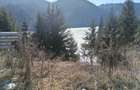 Teren cu IESIRE LA LAC Colibita 12 arii - 4