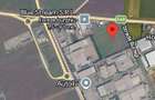BRA?OV 59.545 MP | FRONT DN1