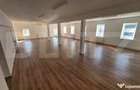 Spatii comerciale de inchiriat, 773 mp, zona Lucian Blaga - 8