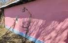 De vanzare casa la ?ara nu se adreseaza pretentiosilor - 1