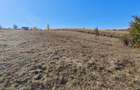 Teren 1.500 mp Fanatele Clujului (3 parcele + drum)extravilan, panorama