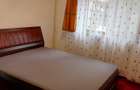 Inchiriere apartament Popa Sapca - 2