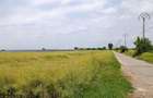 Proiect Greenfield, S-22Ha, P.U.Z, Rezidential, Energie Verde, Ilfov.