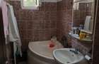 Apartament 3 camere parter Vulcan