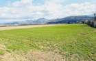 Teren de vanzare 8906 mp, Dofteana - 4