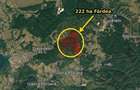 Padure de vanzare Timis: 140 ha Ohaba Lunga + 222 ha Fardea - 1