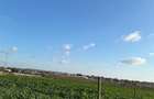 teren intravilan de vanzare agigea, constanta 500 mp - 5