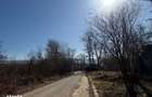 Teren intravilan/extravilan Ciofeni, ID: R3013251 - 2