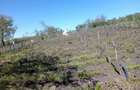 Vand teren intravilan - 4