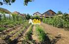Casa 4 camere + anexe, 636 mp teren, la asfalt, Vintu de Jos - 17