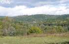 Teren de 3142 mp, în Vulcana-Băi - 2