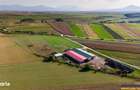 FILM! 18.000 mp, extravilan, agricol+ constructii:ferma,investitii agr - 2