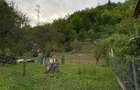 Vand teren intravilan Bicaz - 5