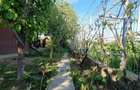 Vila Brane?ti | 2 min. Padure | Ideal Prosumator | Acces Rapid A2/A0 - 6