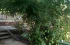 vand casa baicoi liliesti sipot nr 1 - 7