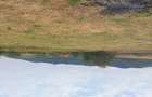 Vand teren intravilan - 4