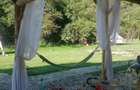 Teren amenajat cu casa de vacanta, lac, foi?oare si pontoane la baza padurii. - 6