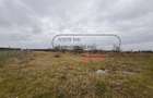 Teren ?ag - intravilan agricol | 3.200 mp