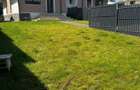 Vila Duplex de Vis in Poiana Campina, Aer Curat, Liniste si Natura - 11