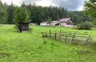 Teren De Vanzare Maneciu-Cheia ( Triunghi ) - 7