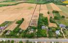 Casa gospodareasca cu teren generos 1,1 Ha in Silistea, Com. Todiresti - 4