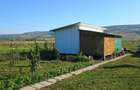 Vand teren extravilan Gadalin - 2