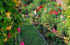 Vand casa locuibila in orice moment - 4