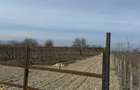 Vand Teren intravilan - 3
