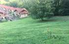 Teren in Noua 2900 mp