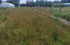 TEREN INTRAVILAN 2.800 MP, Stradal, la 5 minute de Slatina, liber - 8