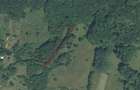 Teren intravilan 3.186 mp Sat Varmaga, Certeju de Sus, Hunedoara luminis la poalele muntelui - 8