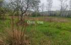 Teren intravilan in suprafata de 3160 mp, Puscasi, Poiana lui Alexa - 4