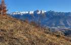 Magura/Brasov, teren generos, pretabil investitie cabane/pensiune/casa - 21