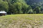 Valea Rosie, teren intravilan 3434mp, langa padure. - 7
