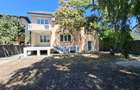 Dumbravita la intrare,  pentru locuit sau afacere - 1
