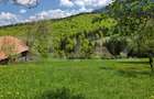 Teren intravilan 3400 mp, in Balaban - Simon, Bran - Brasov - 6