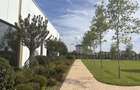 3 Camere | 2 Bai | Parc Privat 6.000 mp | Dezvoltator | - 1