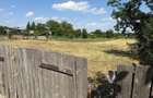 Teren intravilan 2735mp, Bosteni Pascani, deschidere 32m - 2