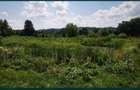 Teren Lac Domnesti Arges 18100 mp - 6
