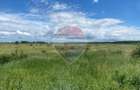 DE VANZARE Teren intravilan 5.000 mp Sector 1, Piscu Mosului