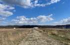 Teren intravilan 3000mp int. snagov parc - 3