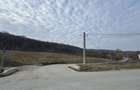 Teren intravilan de vanzare in Corunca - 4