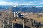 Refugiu in Inima Mun?ilor I Casa in Moeciu I Bran - 14