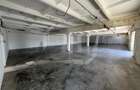 Hala industriala, 300 mp,  zona Dambul Rotund - 2