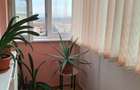 Inchiriere apartamant Zona Cetate - 7